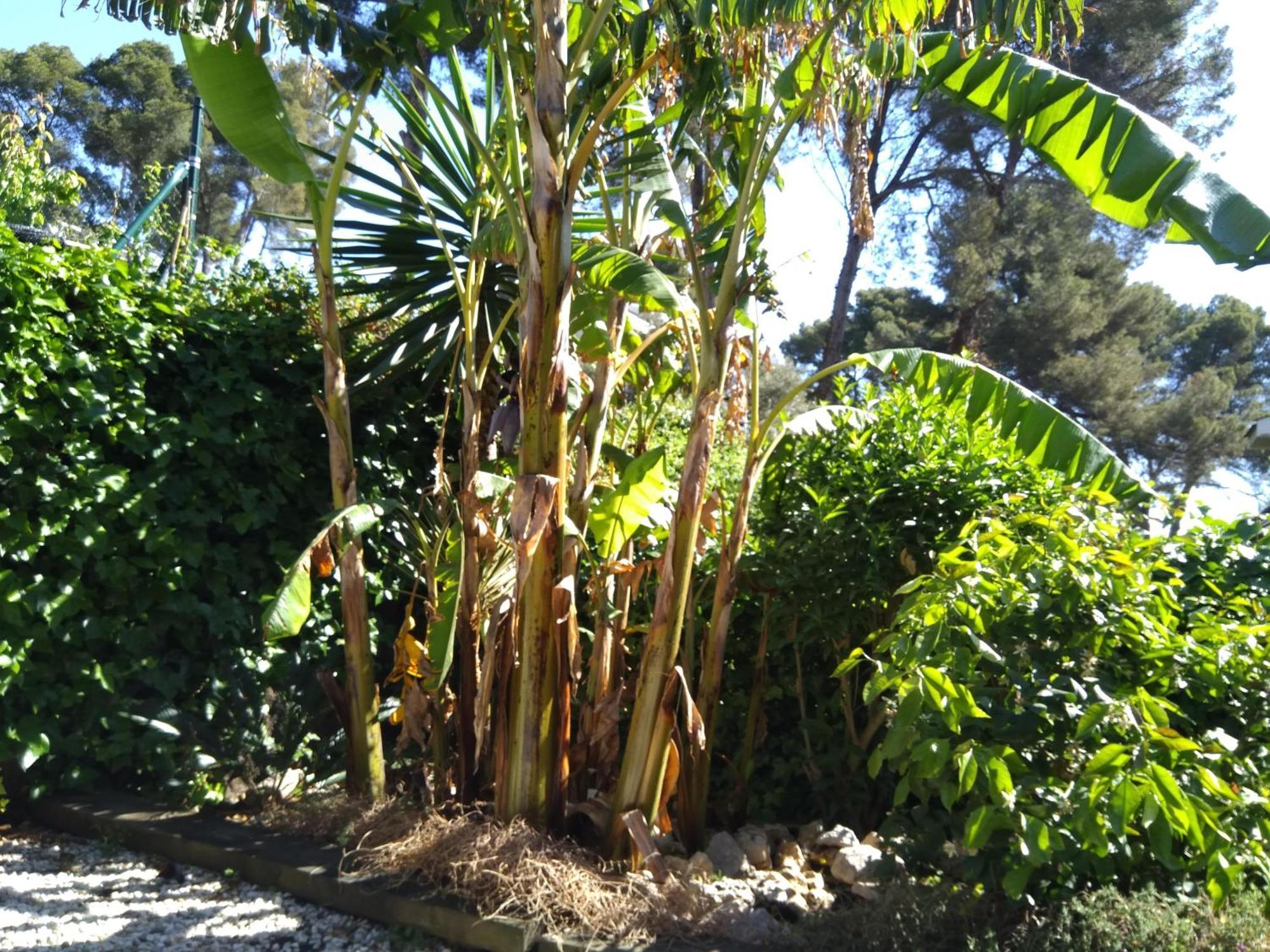 Villa Del Bosque Castelldefels Eksteriør billede